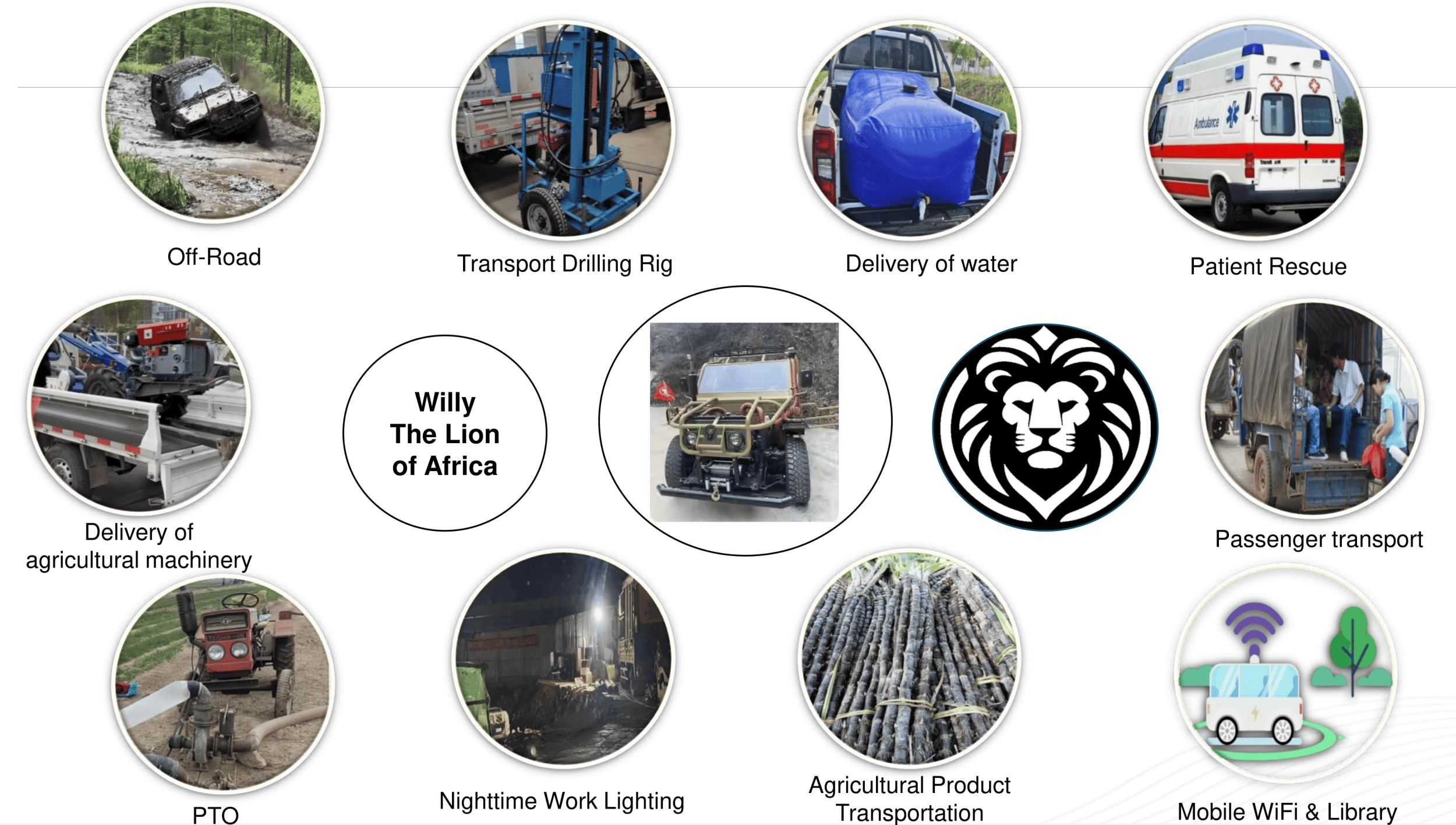 Willy the Lion of Africa